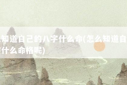 文章配图