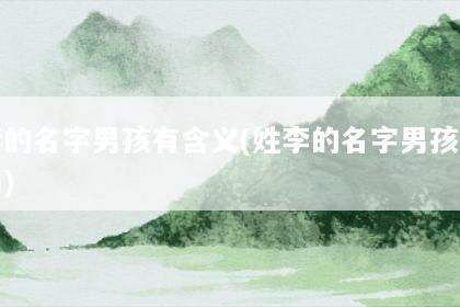 姓李的名字男孩有含义(姓李的名字男孩有含义吗)