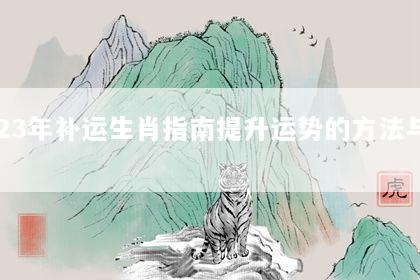 2023年补运生肖指南提升运势的方法与建议