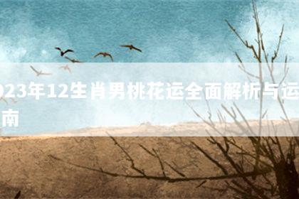 2023年12生肖男桃花运全面解析与运势指南