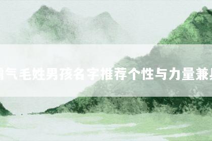霸气毛姓男孩名字推荐个性与力量兼具